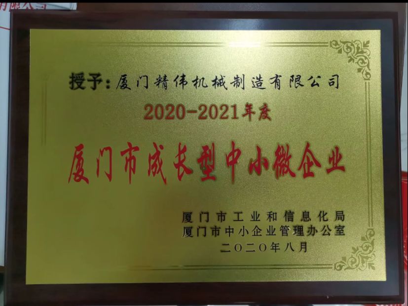 成長型(xíng)中小微企業(yè)2020-2021